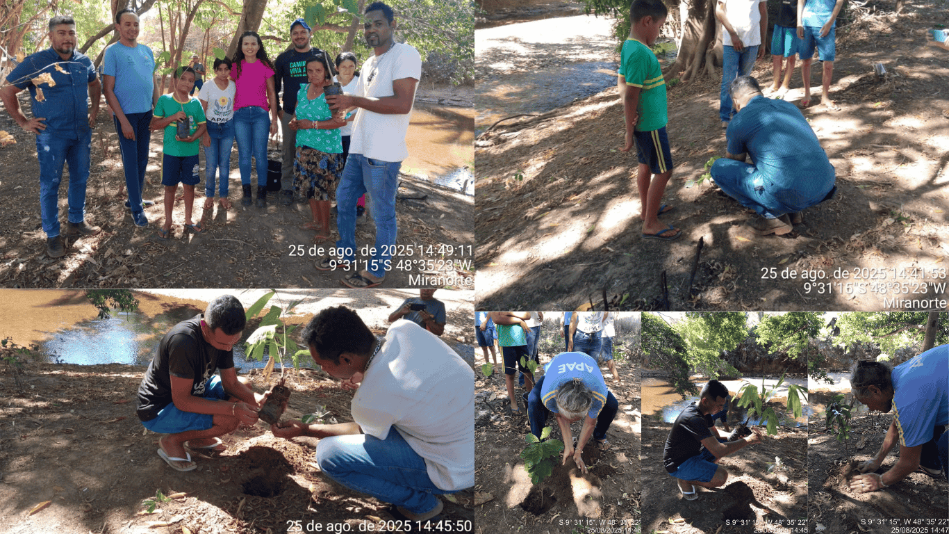 Miranorte promove Dia de Campo com plantio de mudas na APP do Rio Providência